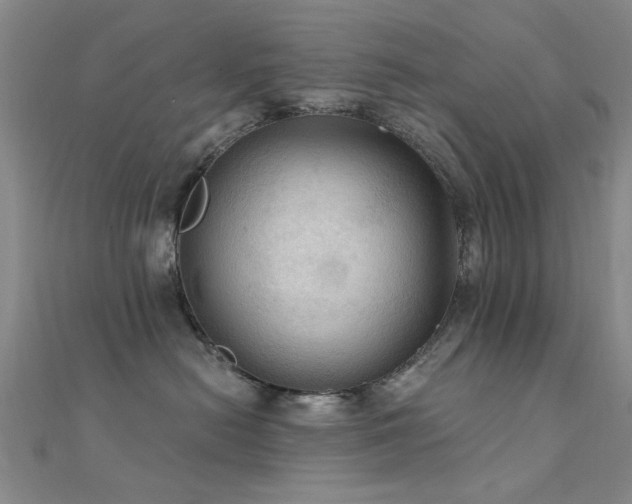 X0000112350478200908131432