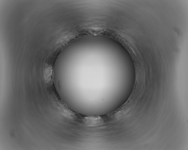 X0000112350480200908131432