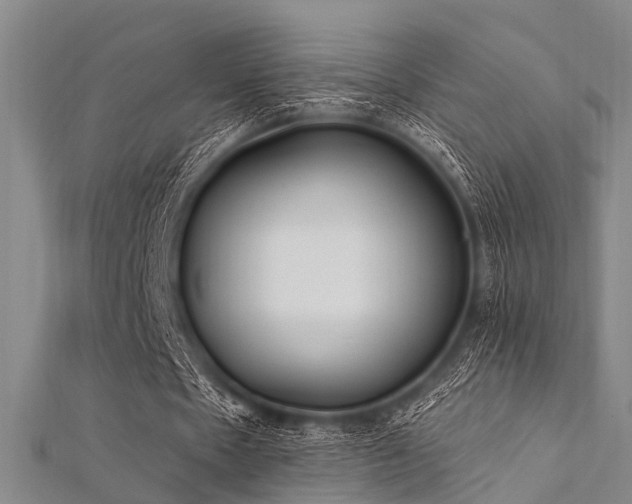 X0000112350481200908131431