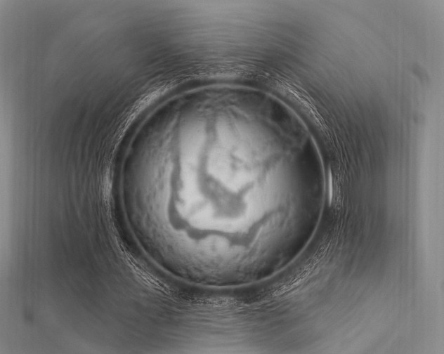 X0000112350483200908131431