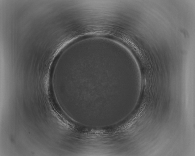X0000112350484200908131431