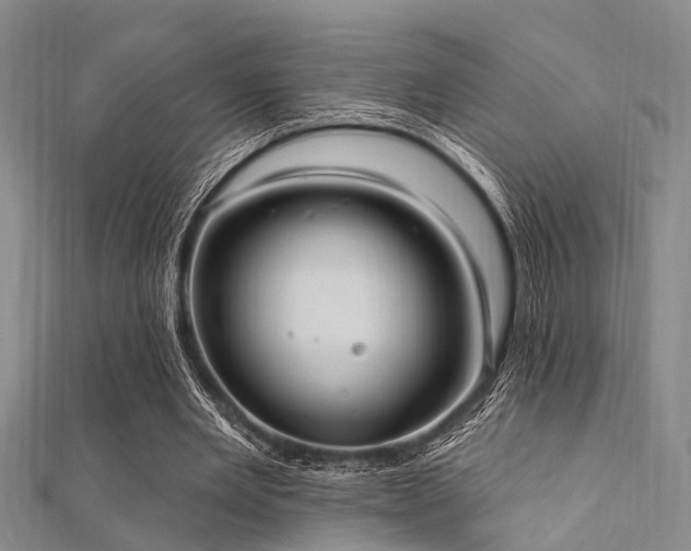 X0000112350485200908131431