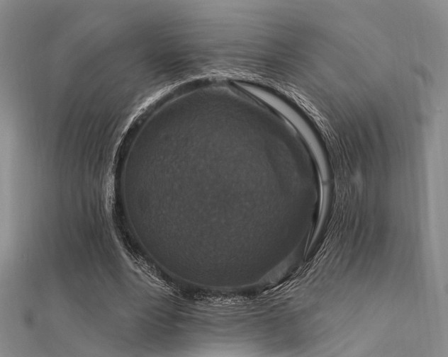 X0000112350488200908131431