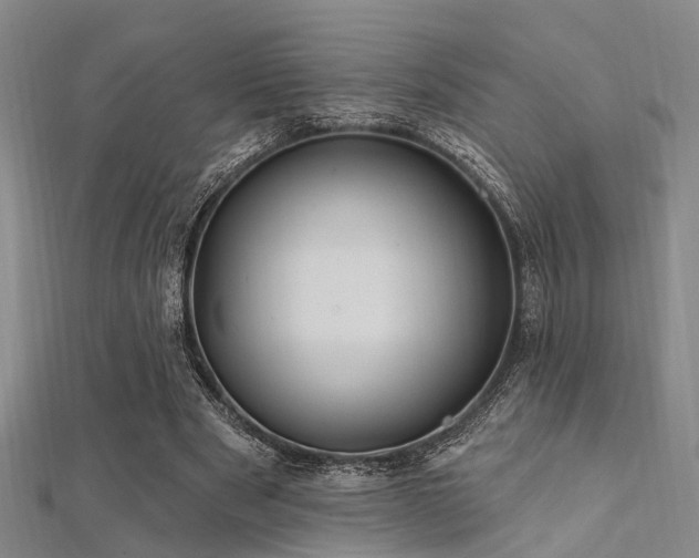 X0000112350489200908131431