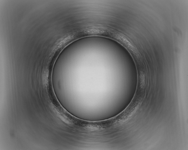 X0000112350490200908131431