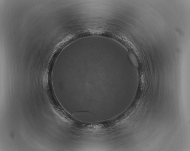 X0000112350492200908131431