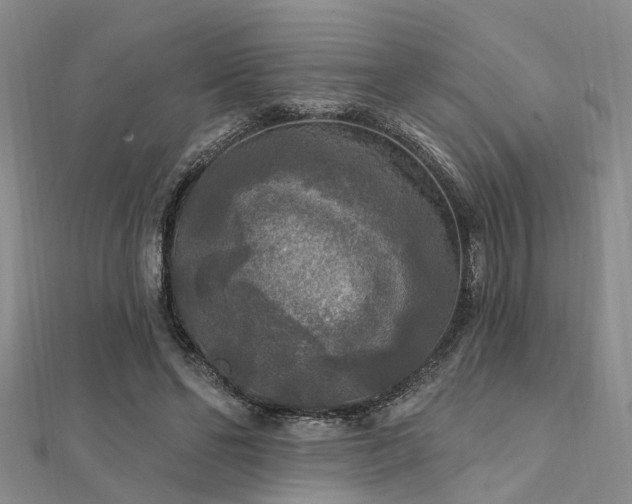 X0000112350494200908131431