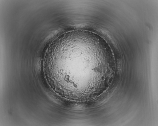 X0000112350495200908131431
