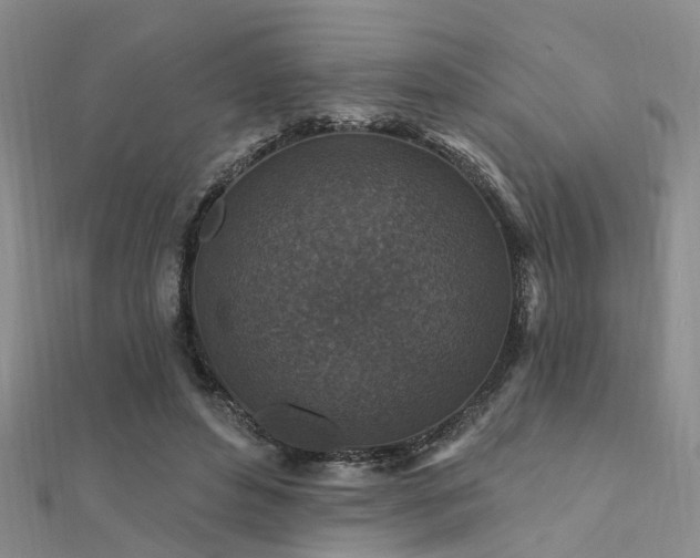 X0000112350496200908131431