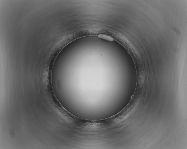 X0000112350497200908131431