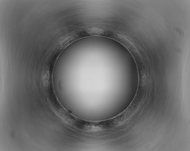X0000112350498200908131431