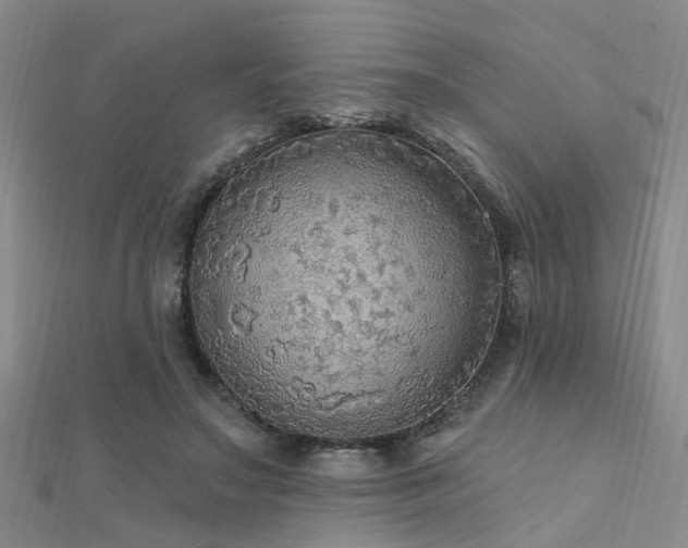 X0000112350499200908131431