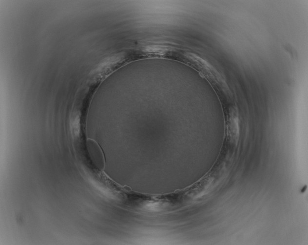X0000112350504200908131431