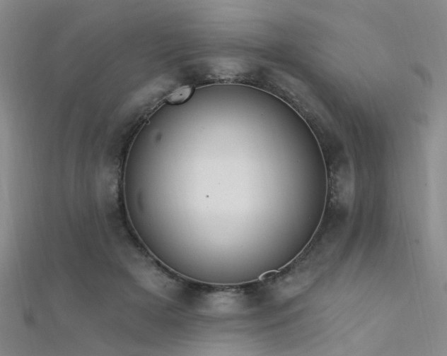 X0000112350505200908131431