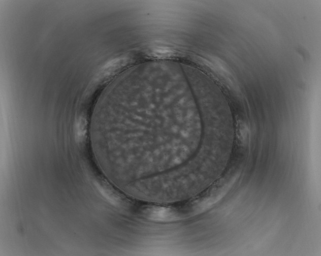 X0000112350507200908131431