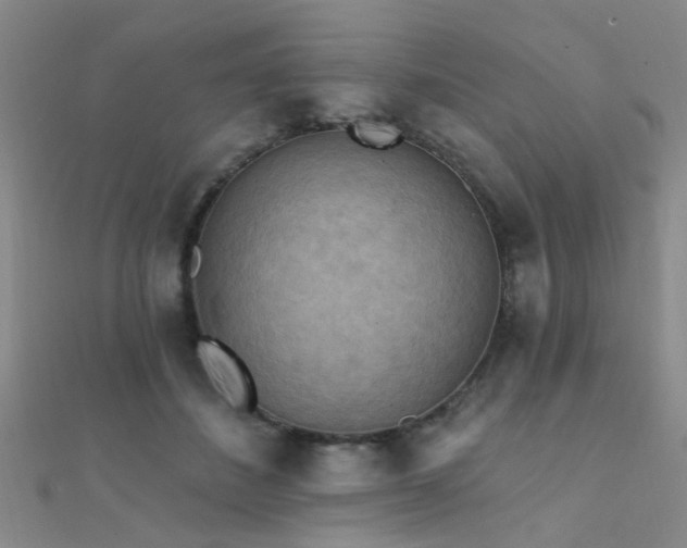 X0000112350508200908131431