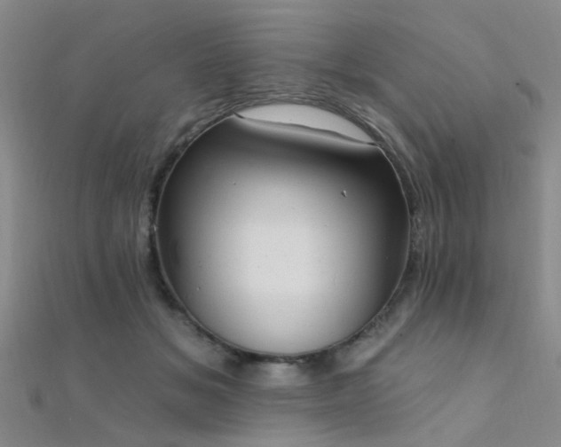 X0000112350509200908131431