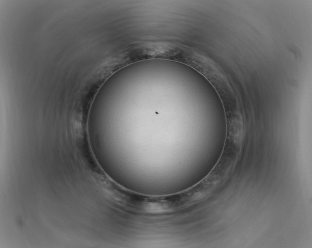 X0000112350510200908131431