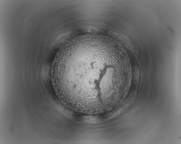 X0000112350511200908131431