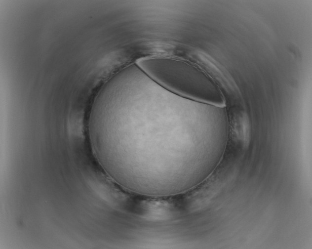 X0000112350512200908131431
