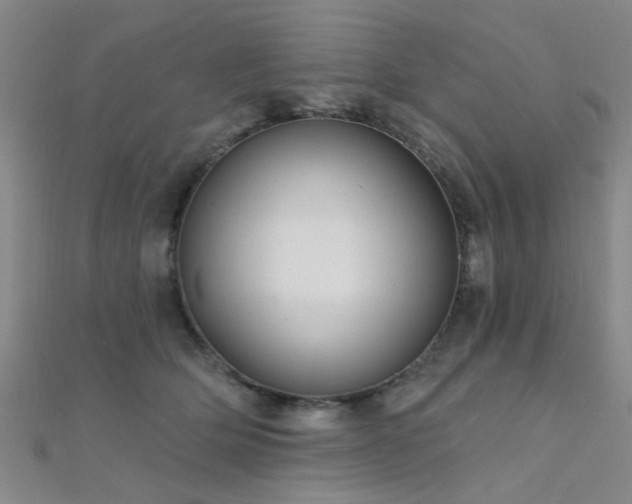 X0000112350514200908131431