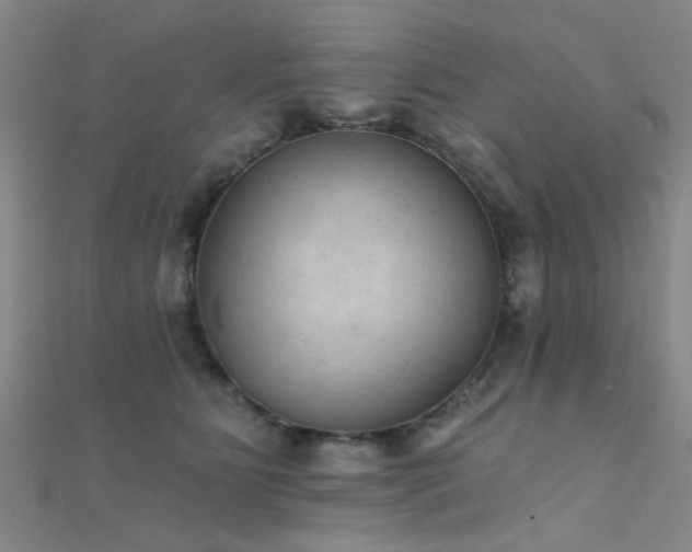 X0000112350515200908131431