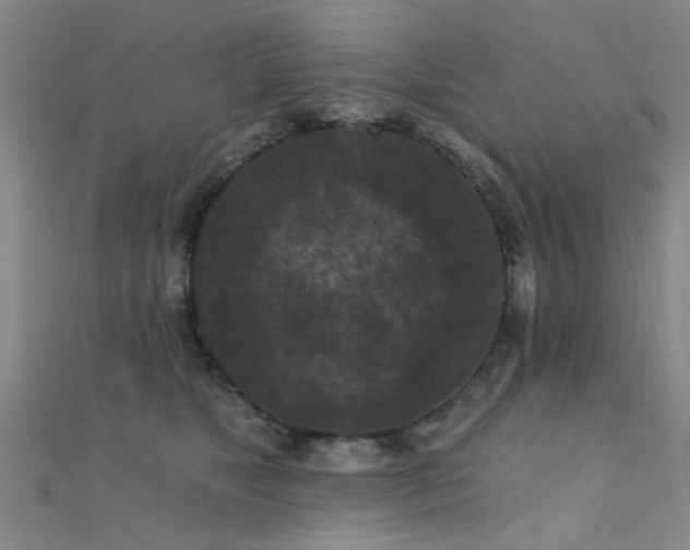 X0000112350517200908131431