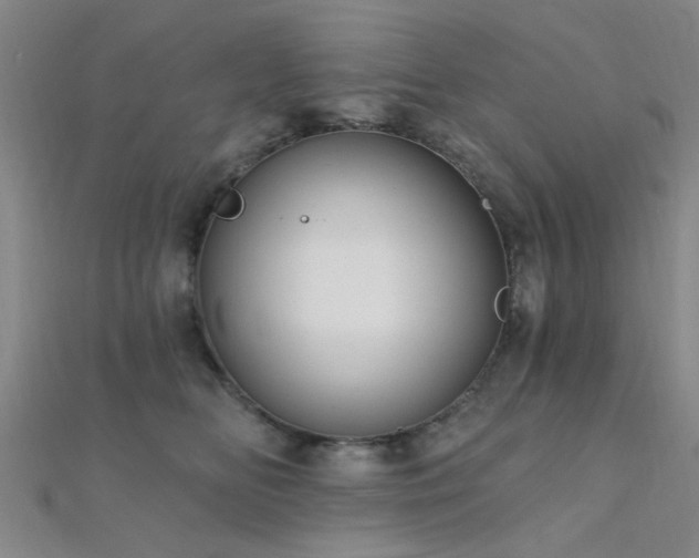 X0000112350518200908131431