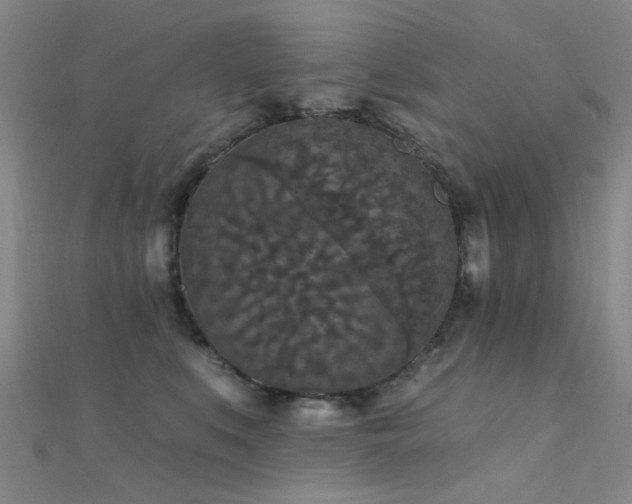 X0000112350519200908131431