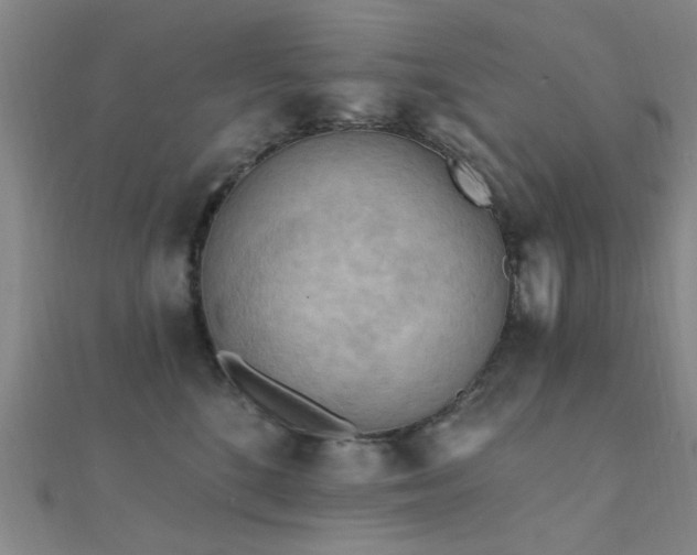 X0000112350520200908131431
