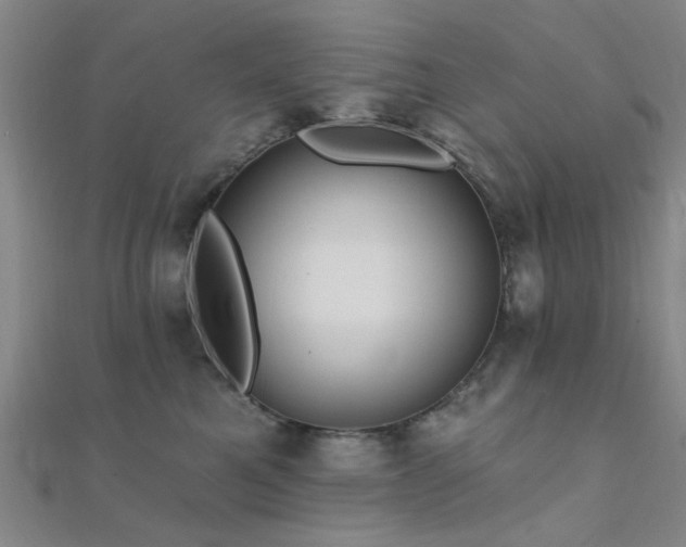 X0000112350521200908131431