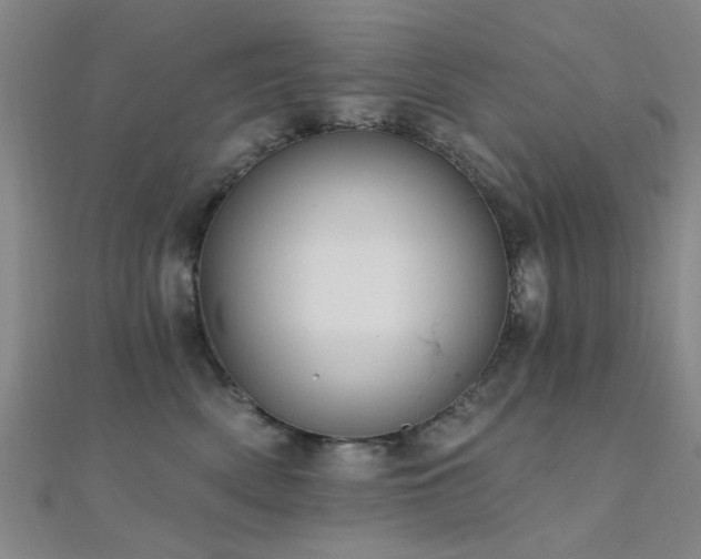 X0000112350522200908131431