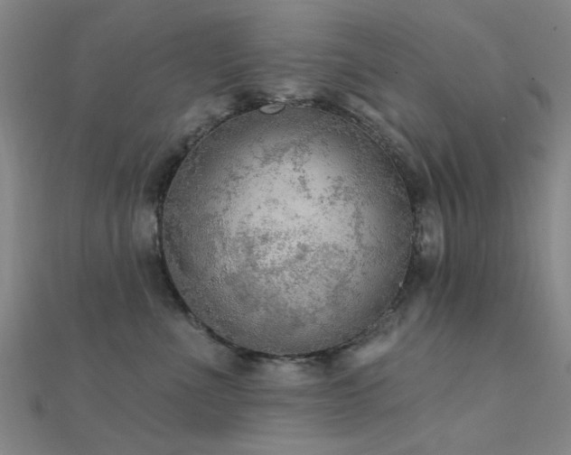 X0000112350523200908131431
