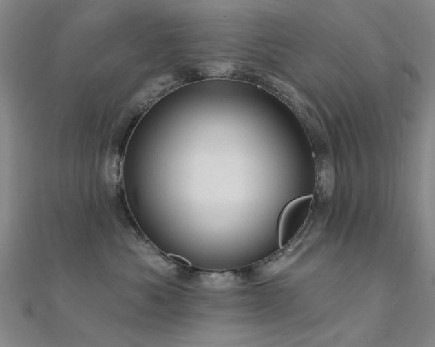 X0000112350525200908131431