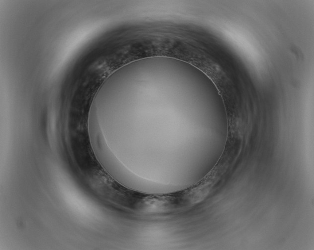 X0000112350526200908131431