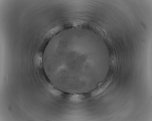 X0000112350527200908131431