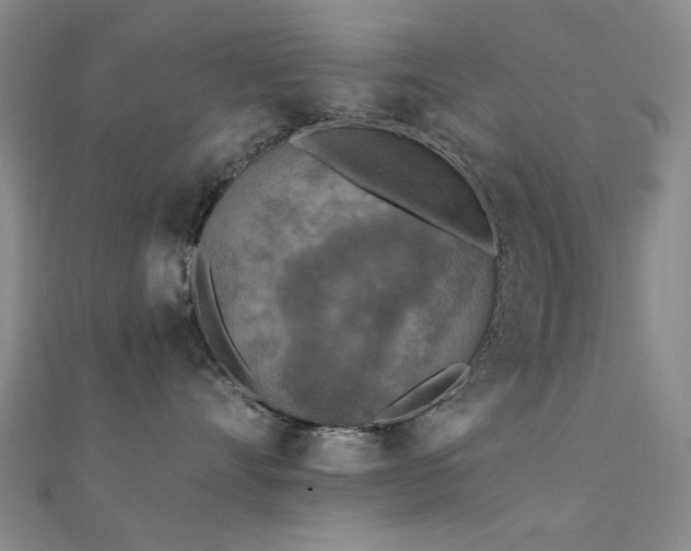 X0000112350528200908131431