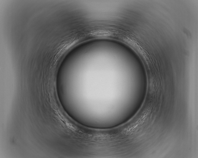 X0000112350529200908131430