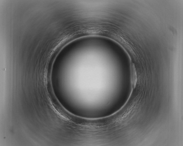 X0000112350530200908131430