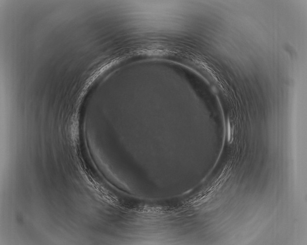 X0000112350531200908131430