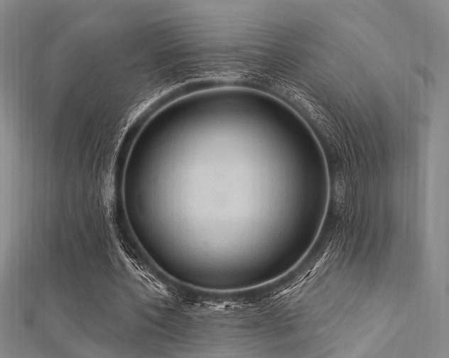X0000112350532200908131430