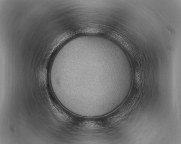 X0000112350534200908131430