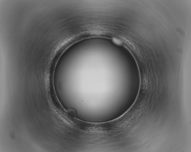 X0000112350535200908131430