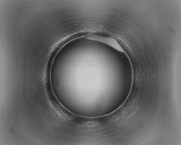 X0000112350536200908131430
