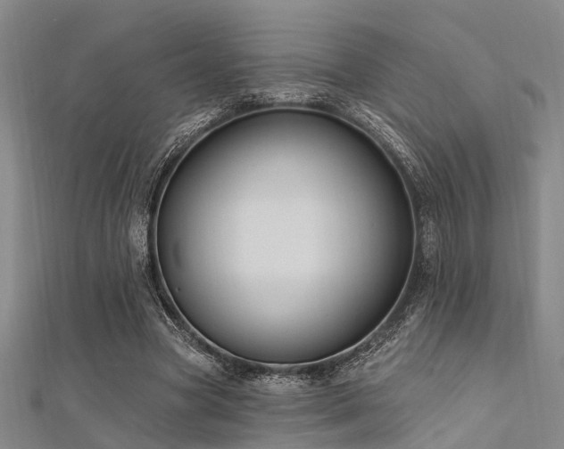 X0000112350537200908131430