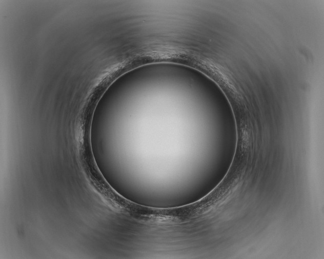 X0000112350539200908131430