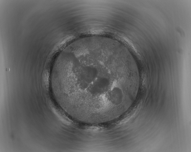 X0000112350542200908131430