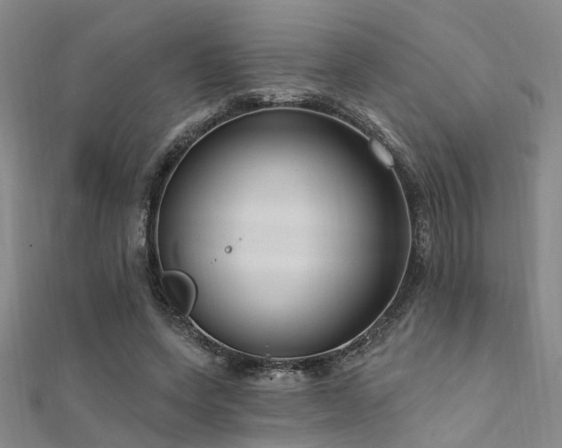 X0000112350543200908131430