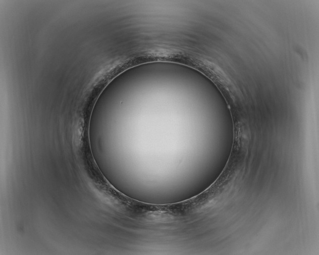 X0000112350544200908131430