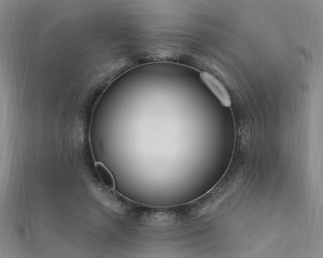 X0000112350546200908131430